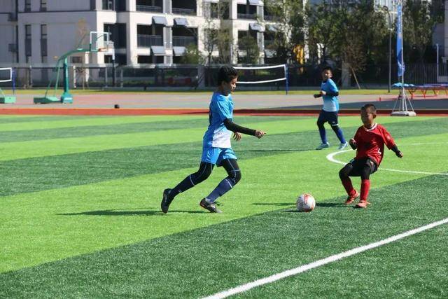 从专业赛场到“城市客厅” 中国垒球联赛探索赛事发展新路径