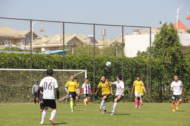 从专业赛场到“城市客厅” 中国垒球联赛探索赛事发展新路径